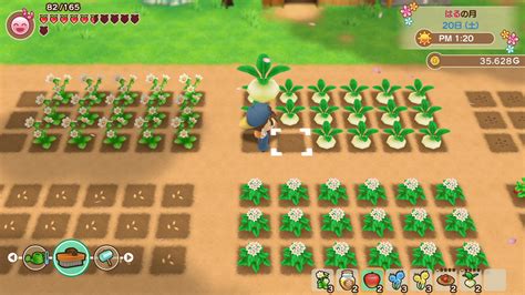 Harvest Moon: Friends of Mineral Town – Relationship Guide.